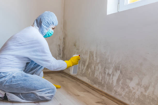 Mold inspector in Newfoundland performing thermal imaging